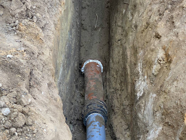 Best Flood restoration services  in Orchard Homes, MT