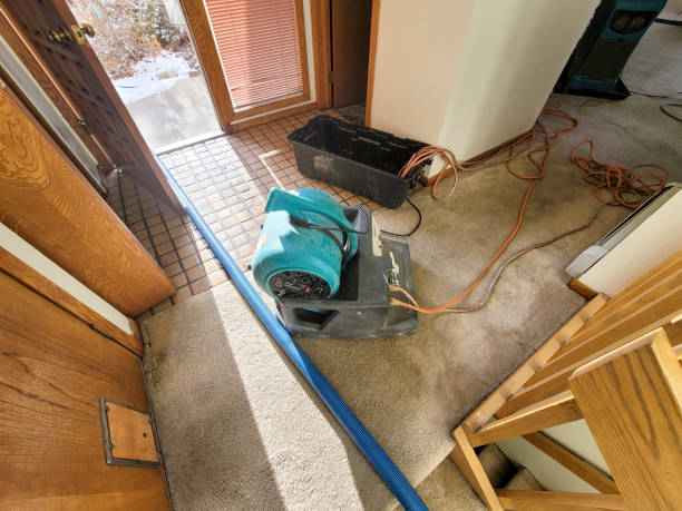 Best Fire Damage Restoration  in Orchard Homes, MT