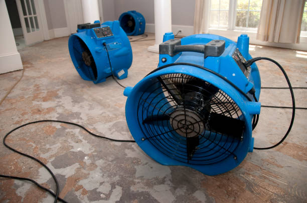 Best Carpet water damage restoration  in Orchard Homes, MT