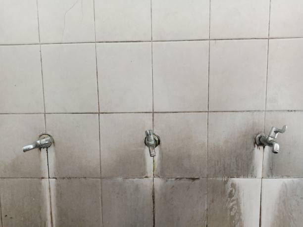 Best Local water damage restoration  in Orchard Homes, MT