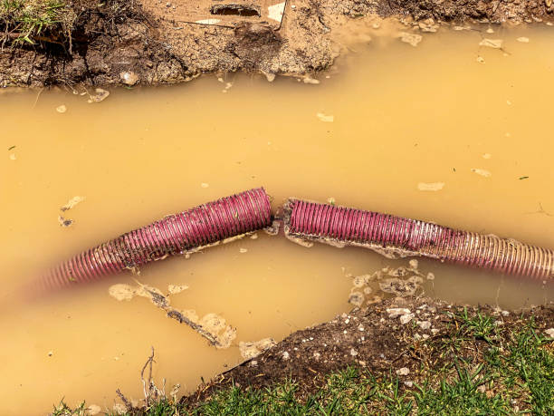 Water damage restoration insurance claims in Orchard Homes, MT