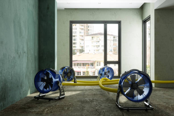 24/7 water damage repair in Orchard Homes, MT