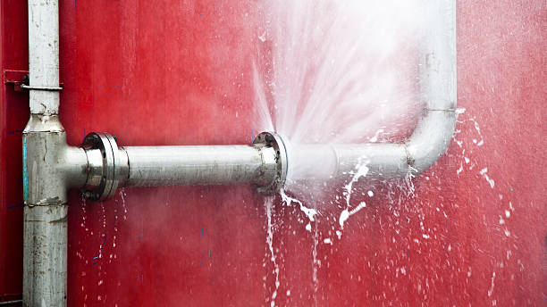 Best Water damage repair service  in Orchard Homes, MT